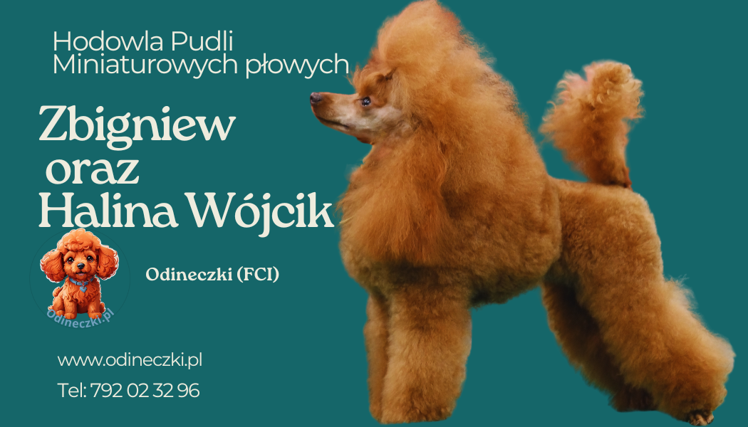 wizytówkaINKA