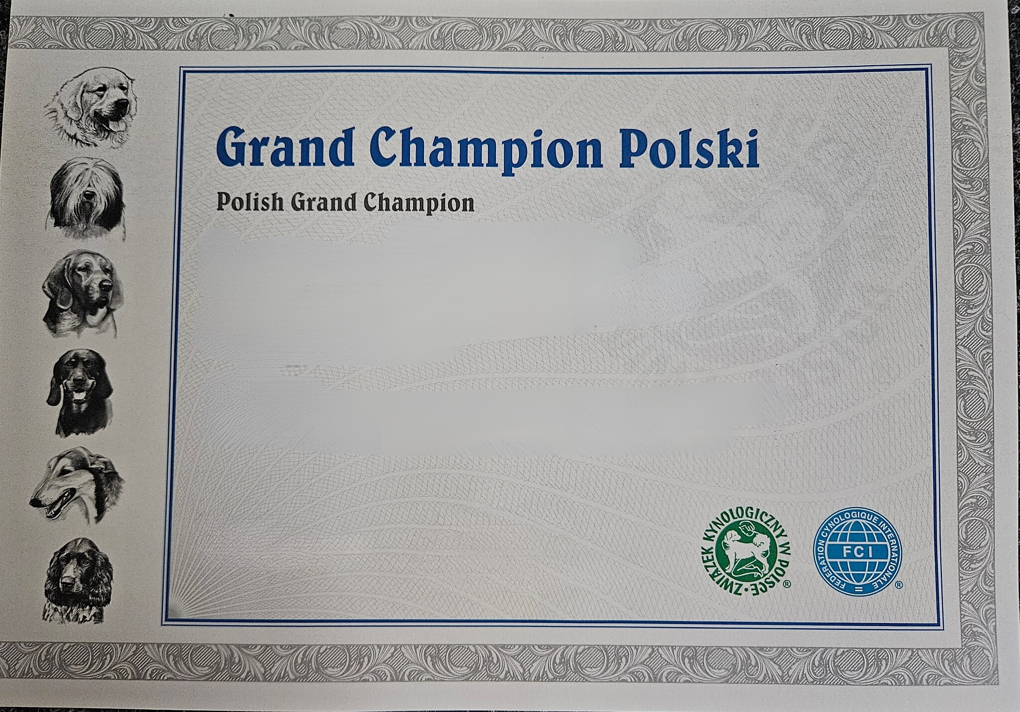 grandchamionpolski