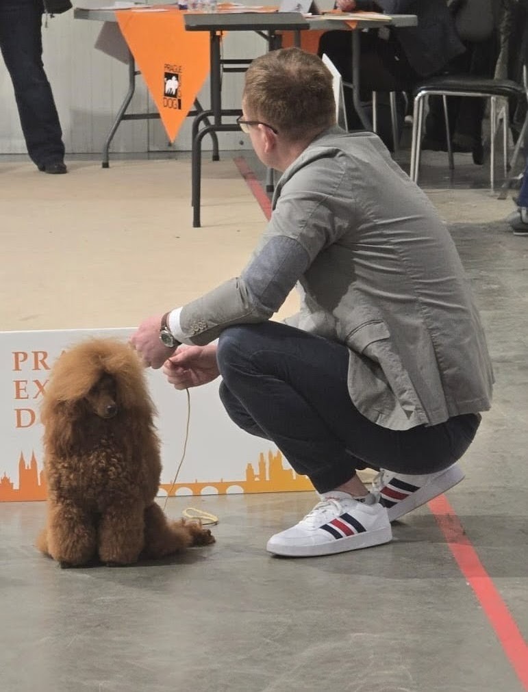 IMG-20251214-WA0005~2